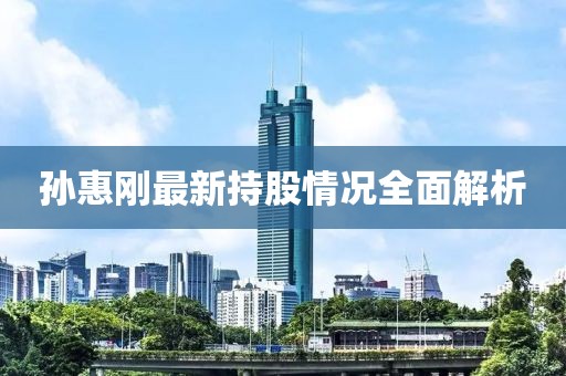孙惠刚最新持股情况全面解析