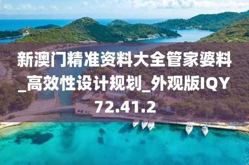 新澳门精准资料大全管家婆料_高效性设计规划_外观版IQY72.41.2