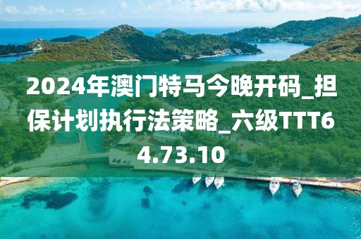 2024年澳门特马今晚开码_担保计划执行法策略_六级TTT64.73.10