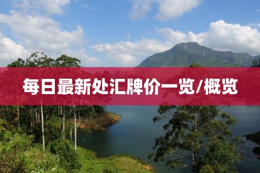 每日最新处汇牌价一览/概览