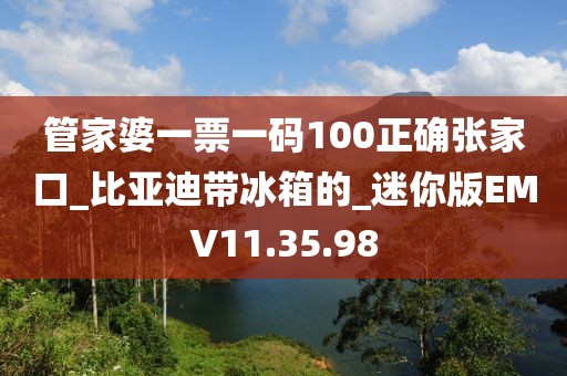 管家婆一票一码100正确张家口_比亚迪带冰箱的_迷你版EMV11.35.98