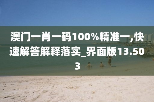 澳门一肖一码100%精准一,快速解答解释落实_界面版13.503