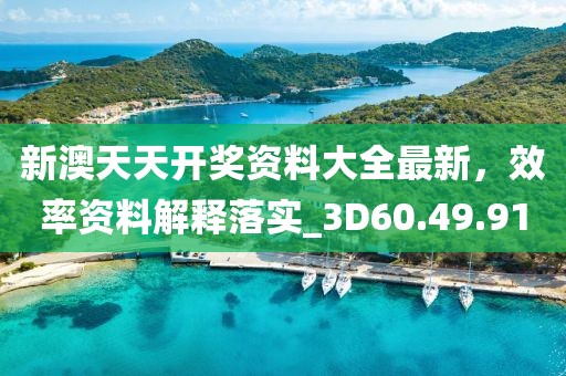 新澳天天开奖资料大全最新，效率资料解释落实_3D60.49.91