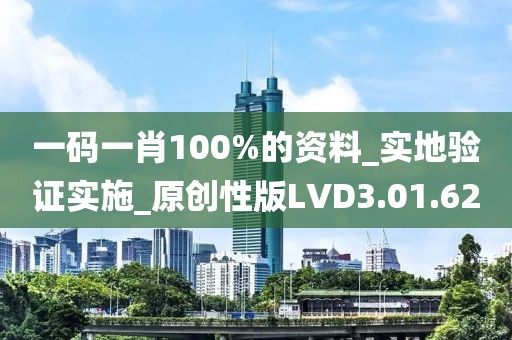 一码一肖100%的资料_实地验证实施_原创性版LVD3.01.62