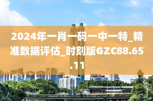 2024年一肖一码一中一特_精准数据评估_时刻版GZC88.65.11