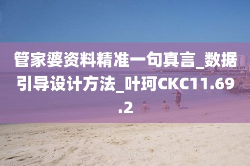 管家婆资料精准一句真言_数据引导设计方法_叶珂CKC11.69.2