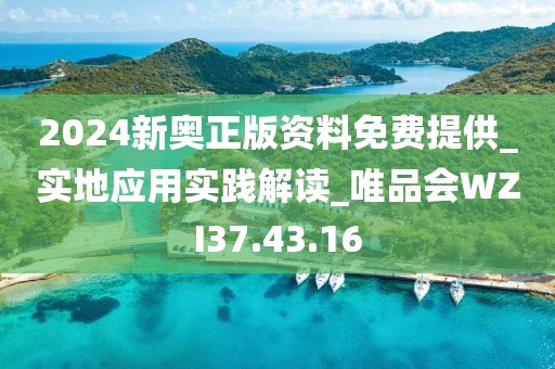 2024新奥正版资料免费提供_实地应用实践解读_唯品会WZI37.43.16