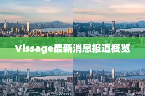 Vissage最新消息报道概览