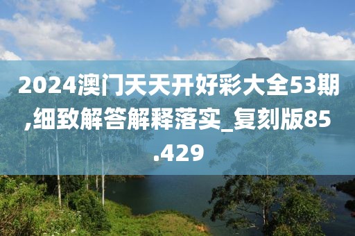 2024澳门天天开好彩大全53期,细致解答解释落实_复刻版85.429