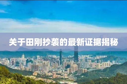 关于田刚抄袭的最新证据揭秘