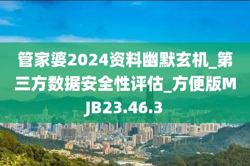 管家婆2024资料幽默玄机_第三方数据安全性评估_方便版MJB23.46.3