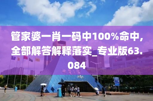 管家婆一肖一码中100%命中,全部解答解释落实_专业版63.084