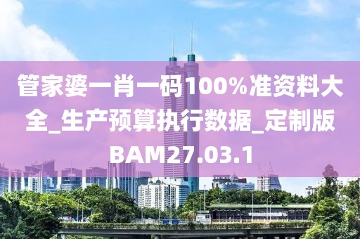 管家婆一肖一码100%准资料大全_生产预算执行数据_定制版BAM27.03.1