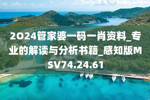 2O24管家婆一码一肖资料_专业的解读与分析书籍_感知版MSV74.24.61
