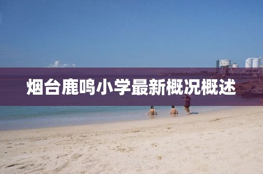 烟台鹿鸣小学最新概况概述