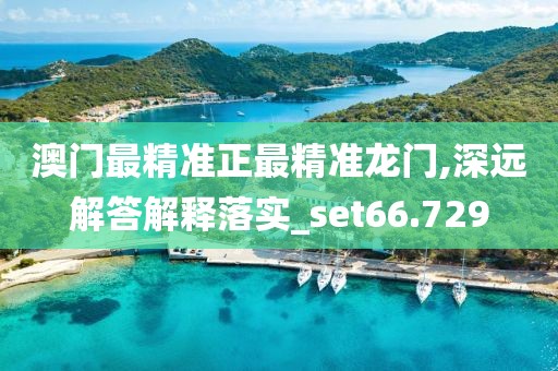 澳门最精准正最精准龙门,深远解答解释落实_set66.729