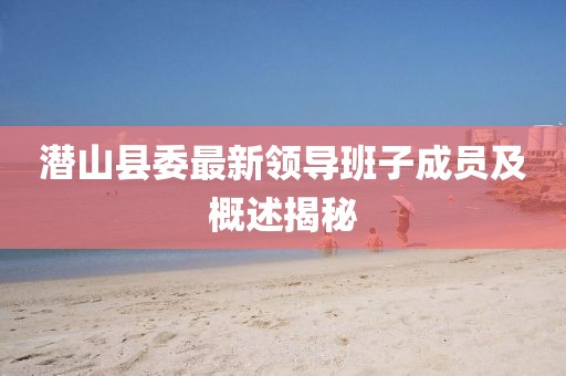 潜山县委最新领导班子成员及概述揭秘