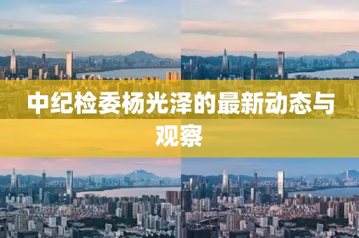 中纪检委杨光泽的最新动态与观察