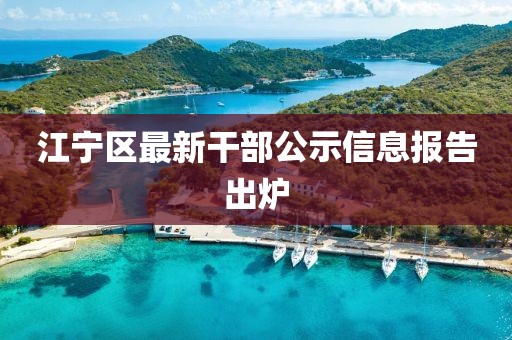 江宁区最新干部公示信息报告出炉