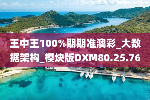 王中王100%期期准澳彩_大数据架构_模块版DXM80.25.76