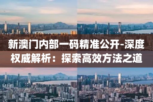 新澳门内部一码精准公开-深度权威解析：探索高效方法之道