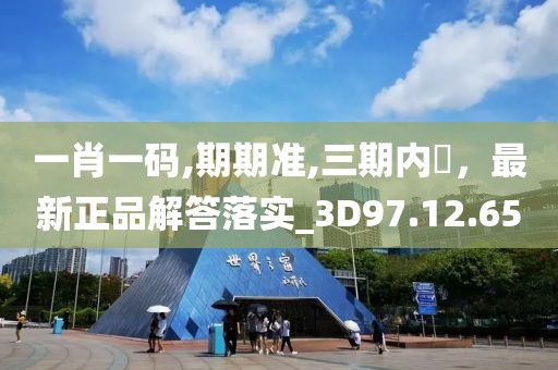 一肖一码,期期准,三期内開，最新正品解答落实_3D97.12.65