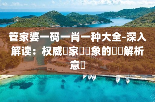 管家婆一码一肖一种大全-深入解读：权威專家對現象的詳盡解析意見