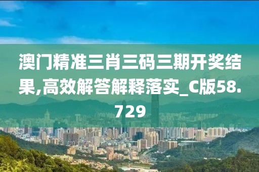 澳门精准三肖三码三期开奖结果,高效解答解释落实_C版58.729