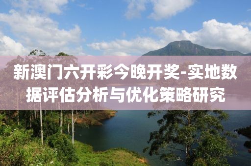 2024年11月19日 第47页