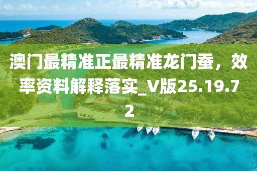 澳门最精准正最精准龙门蚕，效率资料解释落实_V版25.19.72