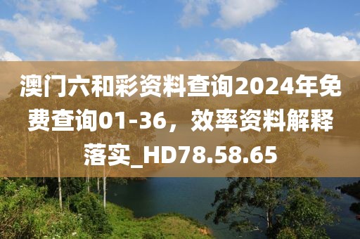 澳门六和彩资料查询2024年免费查询01-36，效率资料解释落实_HD78.58.65