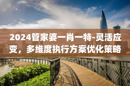 2024管家婆一肖一特-灵活应变，多维度执行方案优化策略