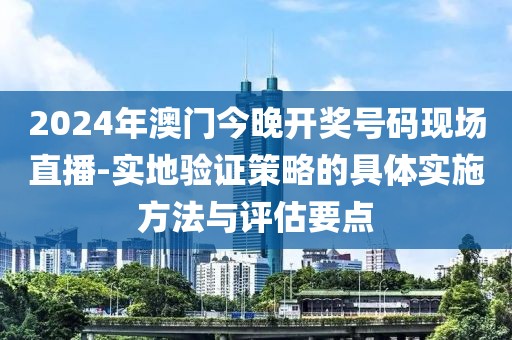 2024年澳门今晚开奖号码现场直播-实地验证策略的具体实施方法与评估要点