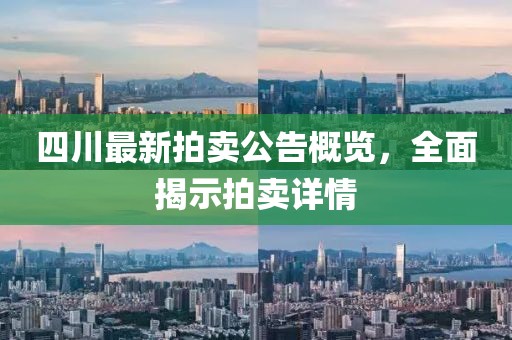 四川最新拍卖公告概览，全面揭示拍卖详情