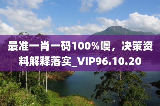 最准一肖一码100%噢，决策资料解释落实_VIP96.10.20