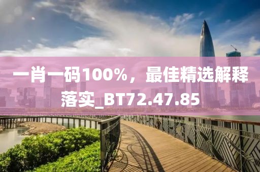 一肖一码100%，最佳精选解释落实_BT72.47.85