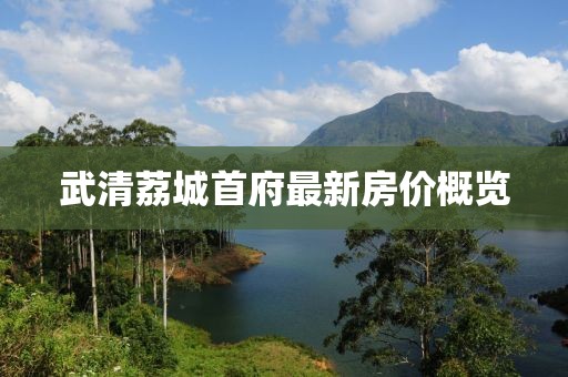 武清荔城首府最新房价概览