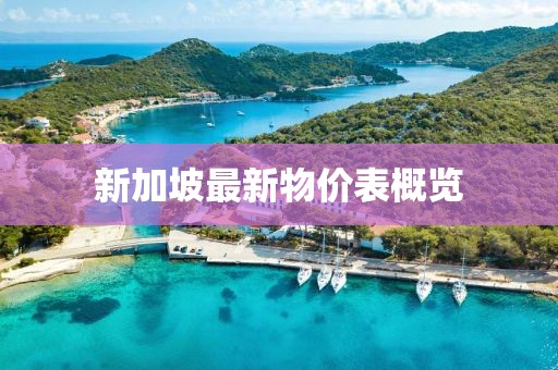 新加坡最新物价表概览