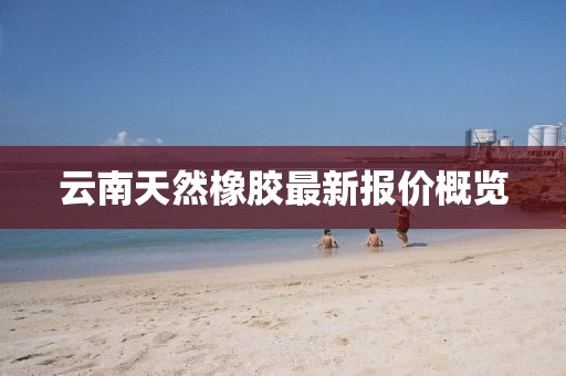 云南天然橡胶最新报价概览