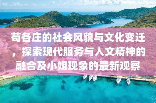 苟各庄的社会风貌与文化变迁，探索现代服务与人文精神的融合及小姐现象的最新观察
