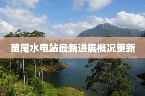 苗尾水电站最新进展概况更新