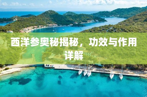 西洋参奥秘揭秘，功效与作用详解