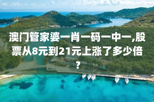 澳门管家婆一肖一码一中一,股票从8元到21元上涨了多少倍？