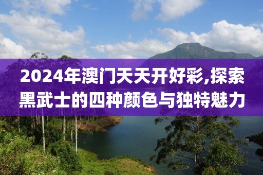 2024年澳门天天开好彩,探索黑武士的四种颜色与独特魅力