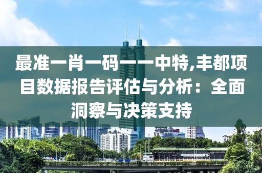 最准一肖一码一一中特,丰都项目数据报告评估与分析：全面洞察与决策支持