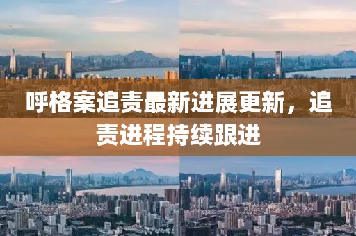 呼格案追责最新进展更新，追责进程持续跟进