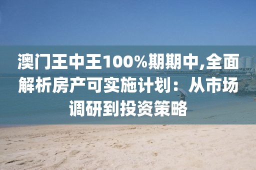 澳门王中王100%期期中,全面解析房产可实施计划：从市场调研到投资策略