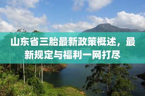山东省三胎最新政策概述，最新规定与福利一网打尽