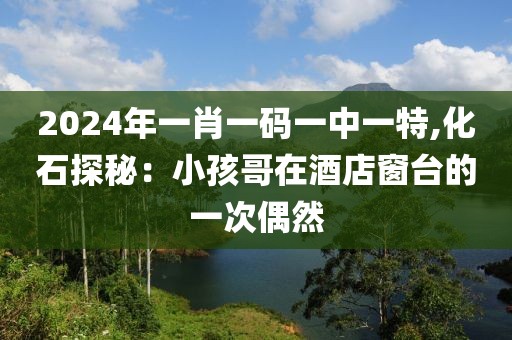 2024年一肖一码一中一特,化石探秘：小孩哥在酒店窗台的一次偶然