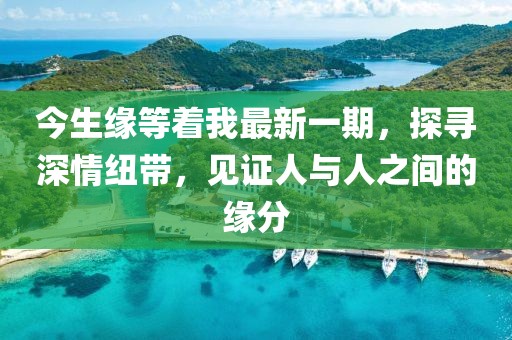 今生缘等着我最新一期，探寻深情纽带，见证人与人之间的缘分